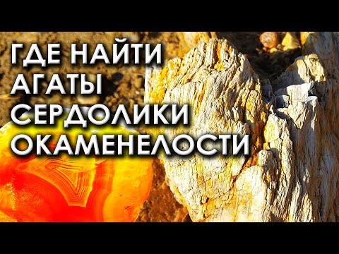 Видео: Где найти агаты, сердолики, окаменелости. Интересные места Забайкалья