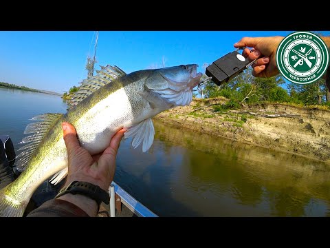Видео: НЕ МОГУ ПОДНЯТЬ ЭТУ РЫБУ ! СУДАК, СОМ ! Рыбалка на Дону 2023