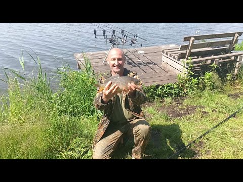 Видео: Отдыхаем вдвоём, муж счастлив 🐟🐟🐟🐟