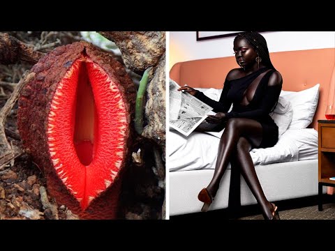 Видео: Фото, которые тебя удивят (часть 139)