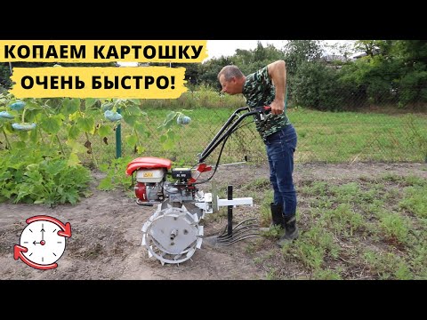 Видео: Как быстро выкопать картошку за 10 минут?