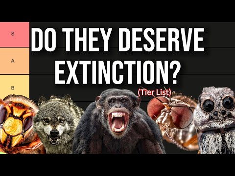 Видео: Заслуживают ли эти животные вымирания (список по уровню опасности)