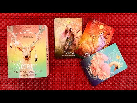 Видео: НОВИНКА Оракул Духи Животных от Эксмо / Spirit Animal Oracle + Манипуляции и как на них реагировать