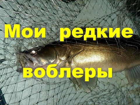 Видео: Топ моих редких воблеров