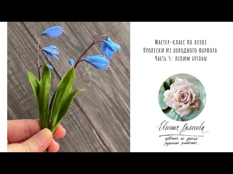 Видео: Пятая часть моего урока по лепке пролески - лепим бутоны ☺️