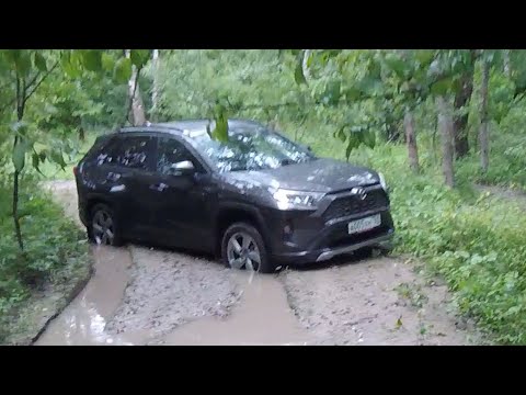 Видео: Взял Toyota Rav4 со старым полным приводом - застрял один в лесу! Что делать?