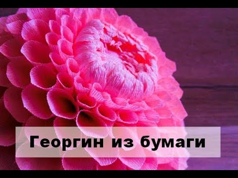 Видео: DIY Большой георгин из гофрированной бумаги. Гигантские цветы из бумаги. Свадебный декор. Георгины