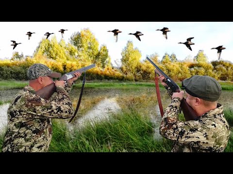 Видео: Охота на Утку с Чучелами на Интересном Болоте.