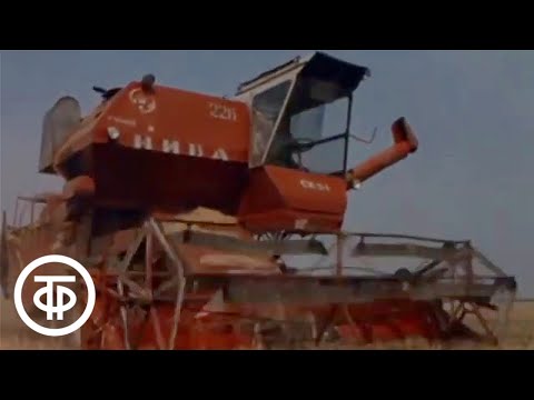 Видео: Юные комбайнеры. В 16 мальчишеских лет. О проблеме закрепления молодежи на селе (1986)