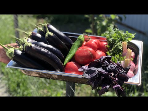 Видео: ТОП 1👆 блюдо из Баклажанов!🔥 Гарни Ярах!