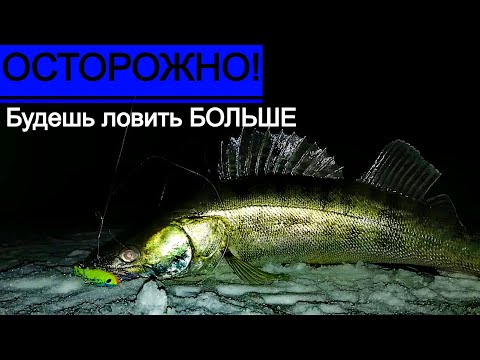 Видео: Судак, эхолот Практик, фишки