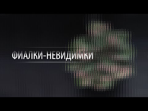 Видео: Эти сорта сенполий судьи никогда не оценят на выставке