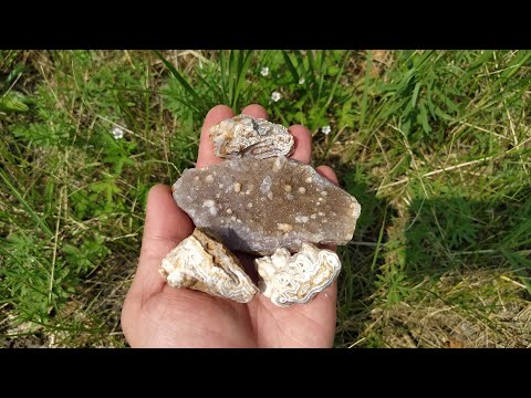 Видео: Новый сезон поисков камней: агаты