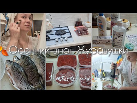 Видео: Гостинцы|Прибрала Клюкву|Покупки|Уход