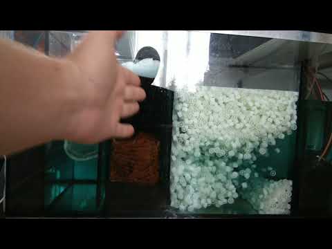 Видео: Самп для аквариума