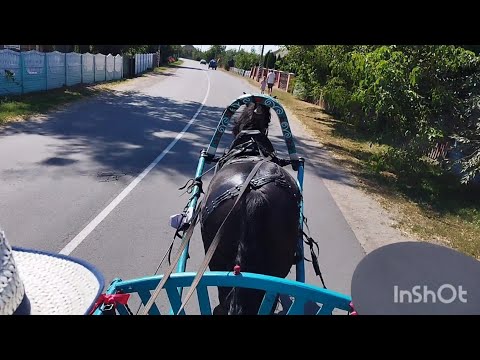 Видео: ЛОШАДИ🐎ПРОКАТИЛИСЬ ПО ДЕРЕВНЕ РЕМЕЛЬ🐴👍🌞