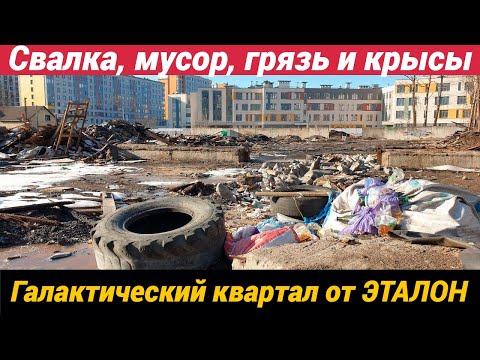Видео: Свалка, мусор, грязь и крысы. Галактический квартал от ЭТАЛОН
