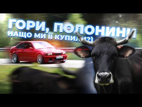 Видео: BMW M3 - як гормон щастя | Carpathian M run