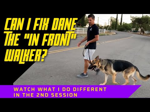 Видео: Вторая прогулка Дэна, идущего «впереди», становится ли ему лучше?