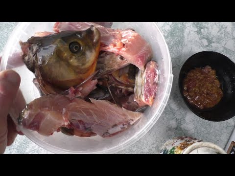 Видео: ОГРОМНЫЙ ЖАРЕННЫЙ КАРАСЬ!  ВКУСНЕЕ КАРПА! Или как пожарить карася!