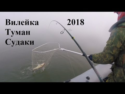 Видео: Ловля хищника на Вилейском водохранилище 2018