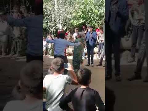 Видео: Туй дар Гарм