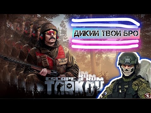 Видео: Тарков. Дикий твой бро