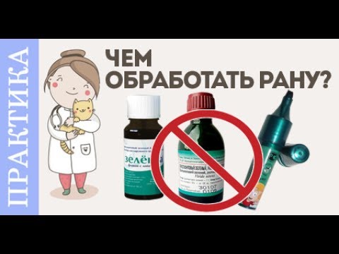 Видео: Обработка ран у животных