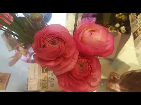 Видео: Цветочный магазин во Франции.