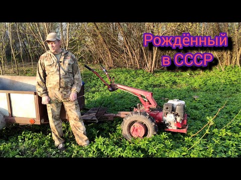 Видео: Недостатки мотоблока МТЗ-09Н. Легенда СССР. Настоящий двухколёсный Белорус.