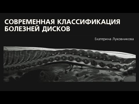 Видео: Современная классификация болезней дисков