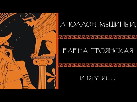 Видео: Евгений Круглов. Аполлон Мышиный, Елена Троянская и другие... Ответы на вопросы