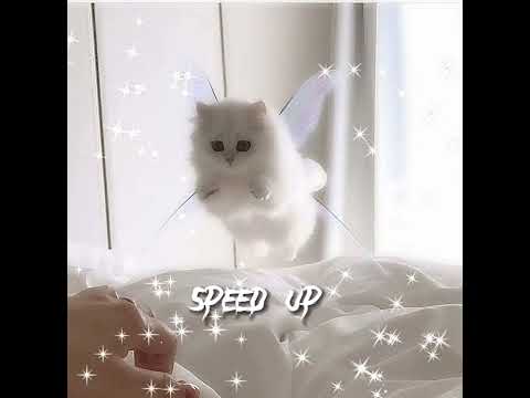 Видео: ПОШЛА МОЛЛИ - буду твоим пёсиком (speed up)