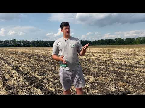 Видео: Якою повинна бути підготовка грунту під посів озимого ріпаку?