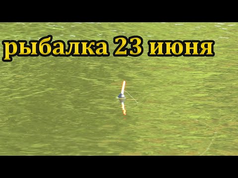 Видео: Рыбалка на речке 23 июня 2023. Ловля рыбы на поплавок.