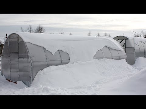 Видео: Как держать теплицу зимой   открытой или закрытой?