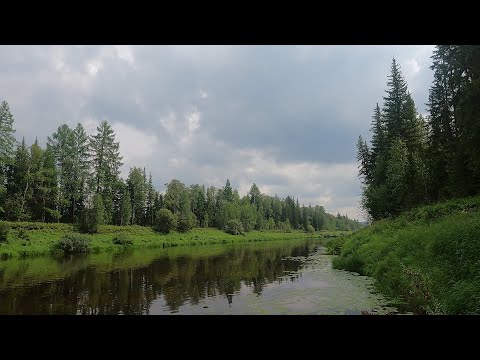 Видео: Пяти дневный  сплав  по реке Кута ,Купа ,Лена  Усть-Кутском район !!!