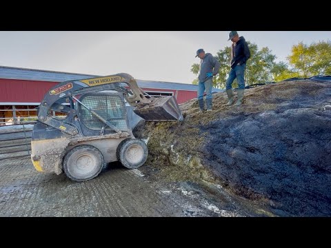 Видео: Открытие бункеров и посещение фермы кузенами