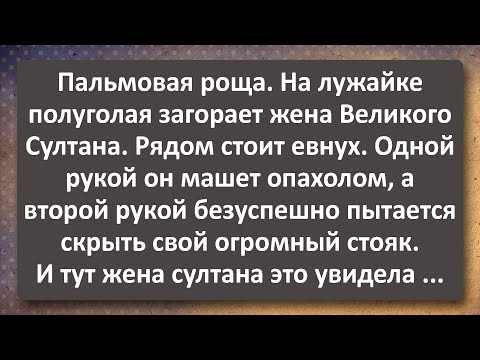 Видео: Жена Великого Евнуха! Лучшие Анекдоты Всех Времен!