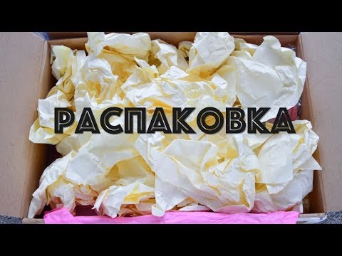 Видео: РАСПАКОВКА ☆ Посылка из магазина ТОРТОМАСТЕР