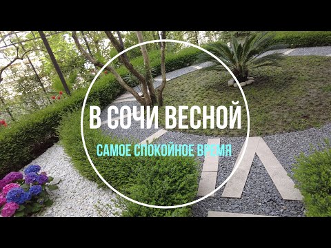 Видео: Сочи весной | Японский сад | Аренда Авто Сочи | Морпорт Сочи | Яхты