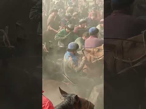 Видео: 20 октября 2025 г.