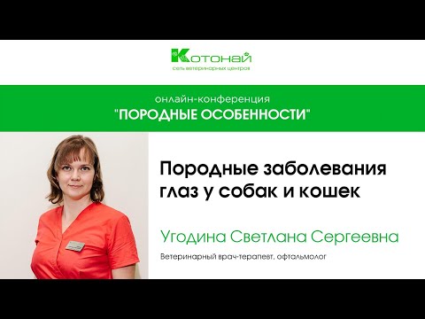 Видео: Породные особенности – взгляд ветеринарного офтальмолога | Угодина Светлана Сергеевна