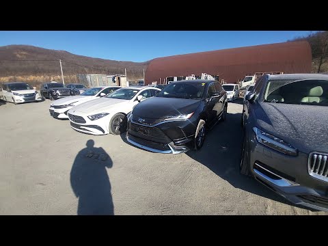 Видео: Я Выбираю Санкционку