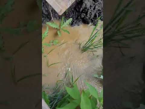 Видео: Бурение пневмоударником и системой одновременной обсадки по обводненному грунту.