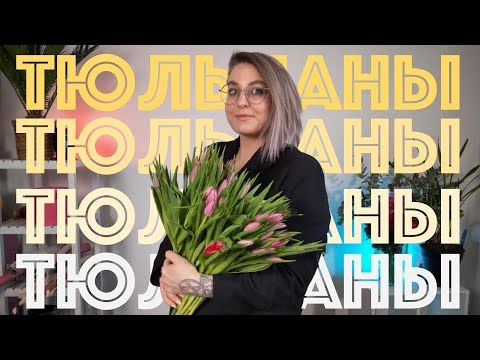 Видео: Тюльпаны! [прямой эфир]