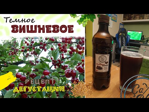 Видео: Темное вишневое пиво | Dunkel cherry beer | Варим пиво в домашних условиях