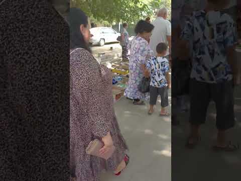 Видео: 9 сентября 2025 г.