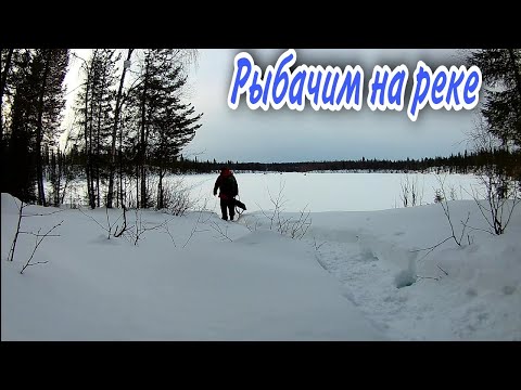 Видео: Рыбачим на реке Тулома. Прогулка по зимнему лесу. Это что,корюшка?  Красоты зимнего леса.