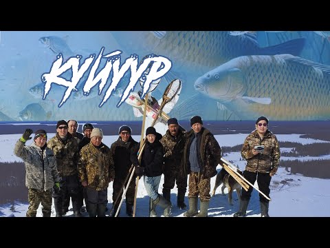 Видео: КУОҺААҤҤА КУЙУУР | МУУС УСТАР 14 КҮНЭ, 2024 СЫЛ